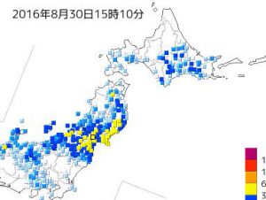 畑の雨量