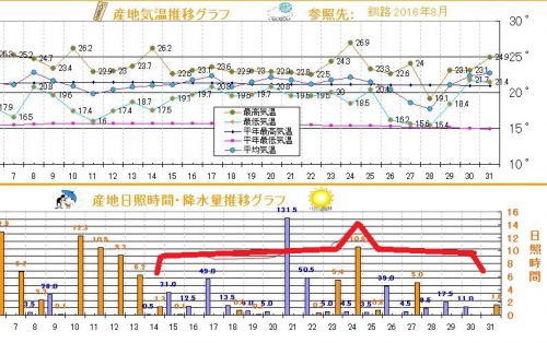 16年10月の気象